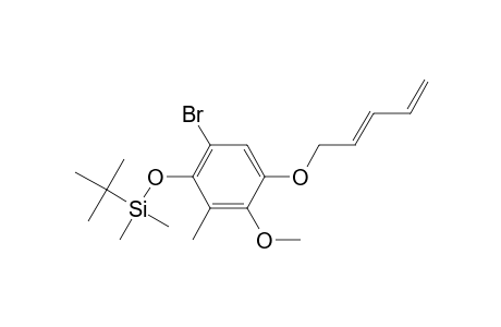 5-Bromo-4-[(tert-butyldimethylsilyl)oxy]-2-methoxy-3-methylphenyl 2,4-pentadienyl ether