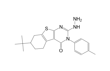 7-tert-butyl-2-hydrazino-3-(4-methylphenyl)-5,6,7,8-tetrahydro[1]benzothieno[2,3-d]pyrimidin-4(3H)-one