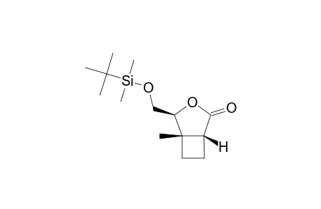 (1R,4S,5S)-4-TERT.-BUTYLDIMETHYLSILYLOXYMETHYL-5-METHYL-3-OXABICYCLO-[3.2.0]-HEPTAN-2-ONE