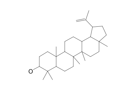 3-EPI-LUPEOL