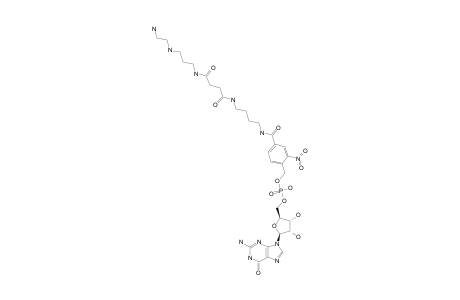 GUANOSINE-5'-MONOPHOSPHATE-P-[4-(4-[3-[3-(2-AMINOETHYLAMINO)-PROPYLCARBAMOYL]-PROPIONYLAMINO]-BUTYLCARBAMOYL]-2-NITRO-BENZYLICESTER