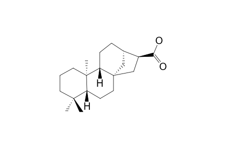 16alpha-Hydro-ent-kauran-17-oic acid