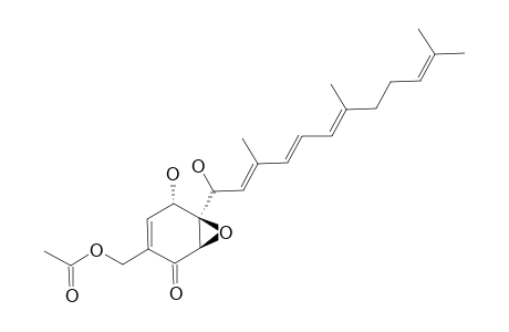 OLIGOSPORON