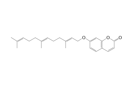 Umbelliprenin