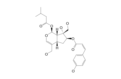 LUZONOID-B