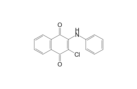 2-anilino-3-chloro-1,4-naphthoquinone