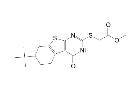 methyl [(7-tert-butyl-4-oxo-3,4,5,6,7,8-hexahydro[1]benzothieno[2,3-d]pyrimidin-2-yl)sulfanyl]acetate