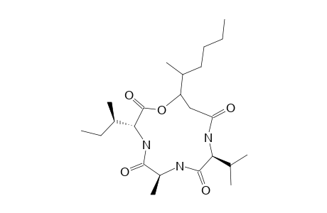 BEAUVERIOLIDE-V