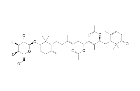 POUOSIDE_I