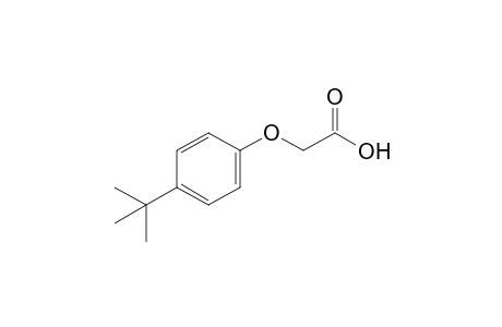 (p-tert-BUTYLPHENOXY)ACETIC ACID