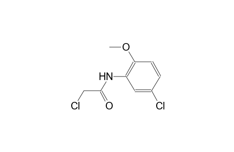 2-chloro-N-(5-chloro-2-methoxyphenyl)acetamide