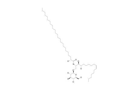 GLUMOSIDE;(2R)-N-[(2S,3S,4R,9Z)-1-O-(BETA-D-GLUCOPYRANOSYL)-3,4-DIHYDROXY-HEPTADEC-9-EN-2-YL]-2-HYDROXY-PENTACOSANAMIDE