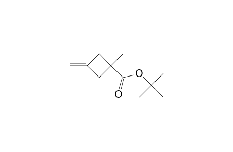 TERT.-BUTYL-1-METHYL-3-METHYLENE-CYCLOBUTANE-CARBOXYLATE