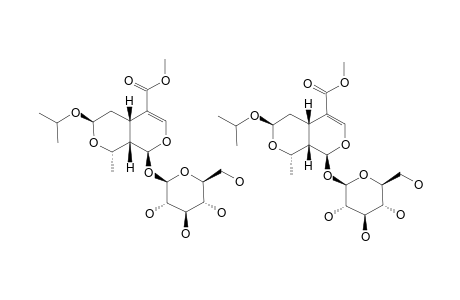 7-O-ISOPROPYL-MORRONISIDE