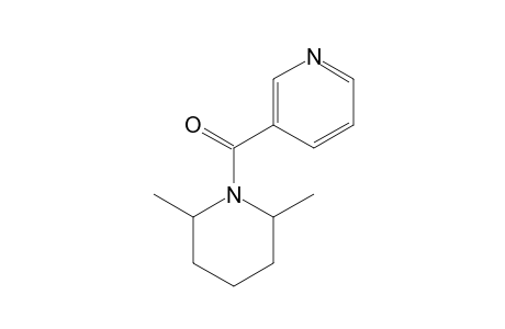 2,6-dimethyl-1-nicotinoylpiperidine