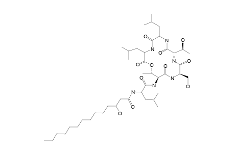 NGERCHEUMICIN-G