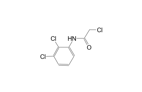 2-chloro-N-(2,3-dichlorophenyl)acetamide