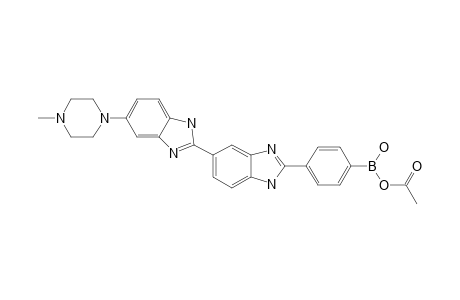 4-{5'-[5''-(4'''-METHYLPIPERAZIN-1'''-YL)-BENZIMIDAZOL-2''-YL]-BENZIMIDAZOL-2'-YL}-PHENYLBORONIC-ACID-MONOACETATE