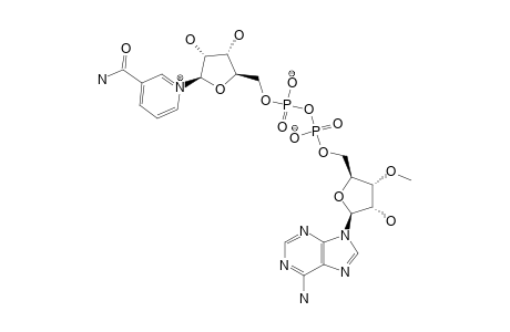 3'-O-METHYL-A-NICOTINAMIDE-ADENINE-DINUCLEOTIDE