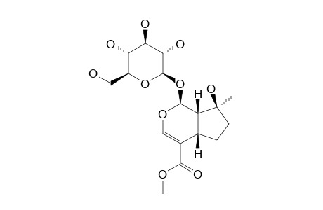 MUSSAENOSIDE;MORE-POLAR-MAJOR-PRODUCT