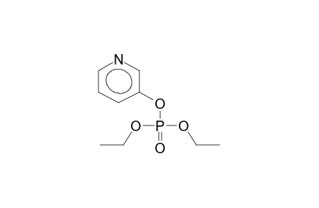 DIETHYL-3-PYRIDYLPHOSPHATE