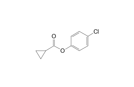 Cyclopropanecarboxylic acid, 4-chlorophenyl ester