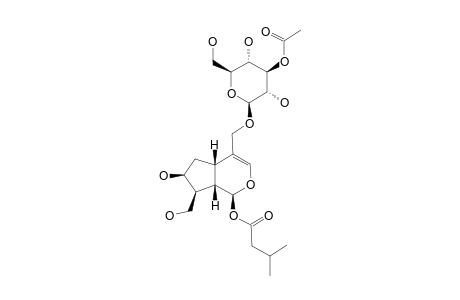 3''-O-ACETYL-PATRINOSIDE