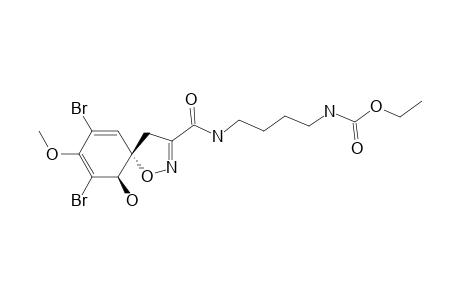 SUBEREAMOLLINE_A