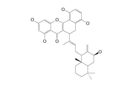 DICHROSTACHINE_R