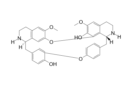 Pangkoramine