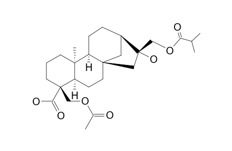 ENT-18-ACETOXY-16-ALPHA-HYDROXY-17-ISOBUTYRYLOXY-KAURAN-19-OIC_ACID