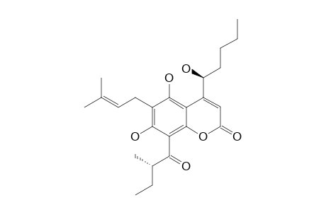 MAMMEA_F/BB;5,7-DIHYDROXY-4-(1-HYDROXYPENTYL)-6-(3-METHYLBUT-2-EN-1-YL)-8-(2-METHYLBUTANOYL)-2-H-CHROMEN-2-ONE