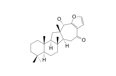 HIPPOSPONGIDE-A