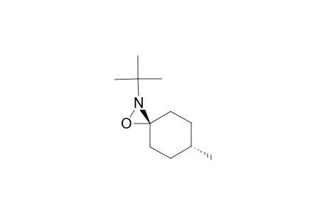 (CIS)-6-METHYL-2-TERT.-BUTYL-1-OXA-2-AZASPIRO-[2.5]-OCTANE