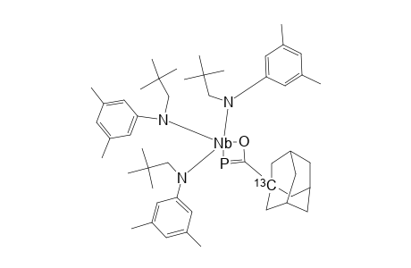 [1-AD-(13)C(O)-P]-NB-[N-[NP]-AR]3;LABELED-VALUE