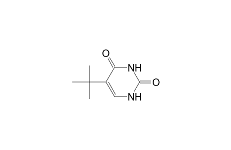 5-tert-Butyl-2,4(1H,3H)-pyrimidinedione