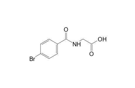 p-bromohippuric acid