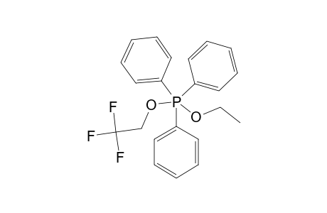 PHOSPHORANE-#2/6