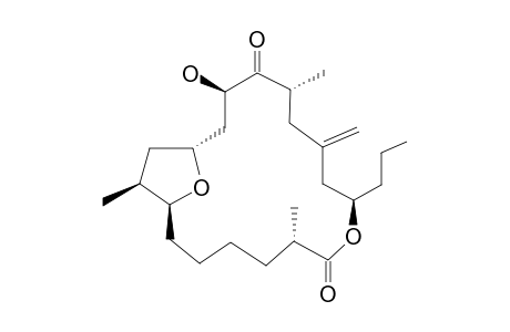 AMPHIDINOLODE-T3