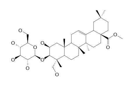 3-O-BETA-D-GLUCOPYRANOSYL-BAYOGENIN_METHYLESTER