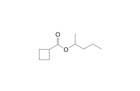 1-Methylbutyl cyclobutanecarboxylate