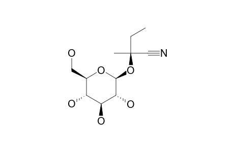 (R)-LOTAUSTRALIN