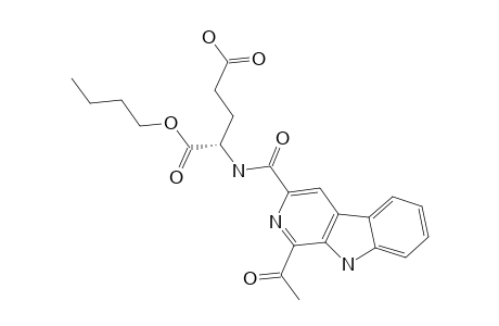 DICHOTOMINE_XIV