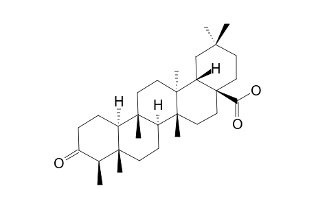 3-OXO-FRIEDELAN-28-OIC-ACID