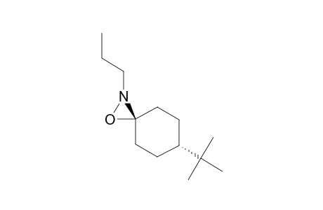 (CIS)-6-TERT.-BUTYL-2-NORMAL-PROPYL-1-OXA-2-AZASPIRO-[2.5]-OCTANE