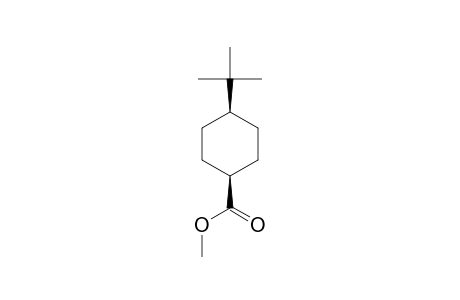 METHYL-CIS-4-TERT.-BUTYLCYCLOHEXANECARBOXYLATE