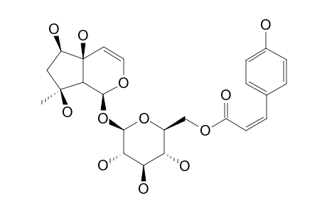 6'-O-CIS-PARA-COUMAROYLHARPAGIDE