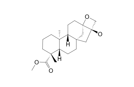 CERIOPSIN-F;METHYL-ENT-13,17-EPOXY-16-HYDROXY-KAURAN-19-OATE