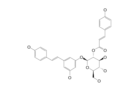 PICEID-2'-O-E-COUMARATE