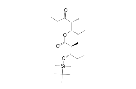 (1'S,2'R)-1'-ETHYL-2'-METHYL-3'-OXOPENTYL-(2S,3S)-3-[(TERT.-BUTYL)-DIMETHYLSILYLOXY]-2-METHYLPENTANOATE